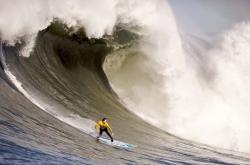 开云官网-南十字星对决阿尔卑斯山，帕尔默进攻端无解，新西兰力克奥地利