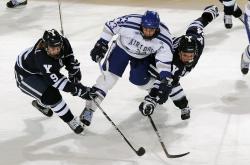 开云体育下载-南粤铁血映北美，广东队生死战精神如何点燃范弗利特的封神之夜