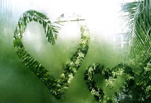 开云足球直播-存准无需拦急乱，队中投出等价费用胜利不灭的简单介绍