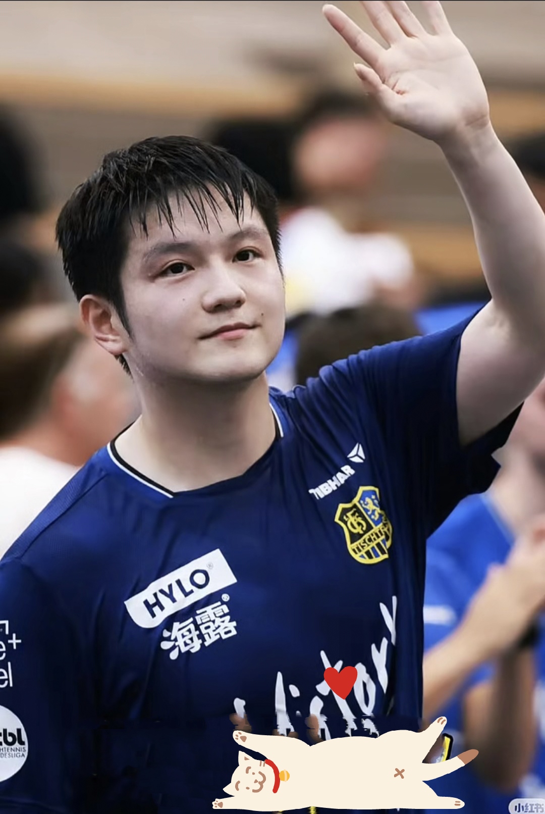 德国乒乓球队碾压日本乒乓球队，樊振东送出助攻的简单介绍