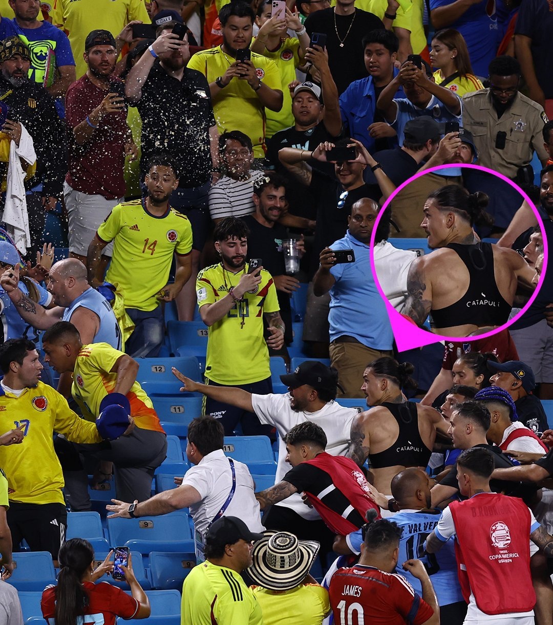 欧洲杯赛场趣事连连，观众喜怒哀乐转瞬间的简单介绍