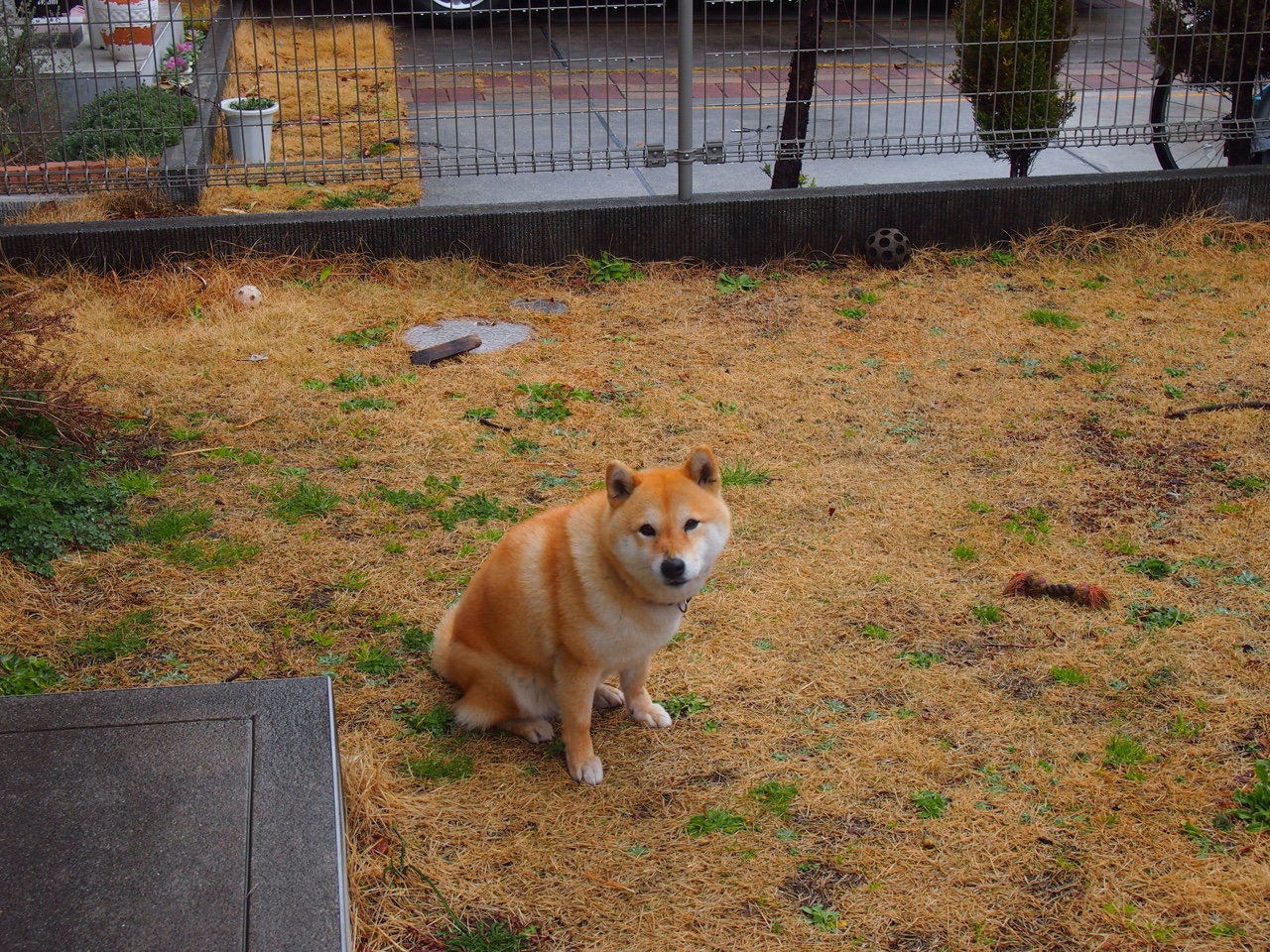 当传奇超越纪录,阿圭罗的永恒印记与挪威新星的非洲震撼