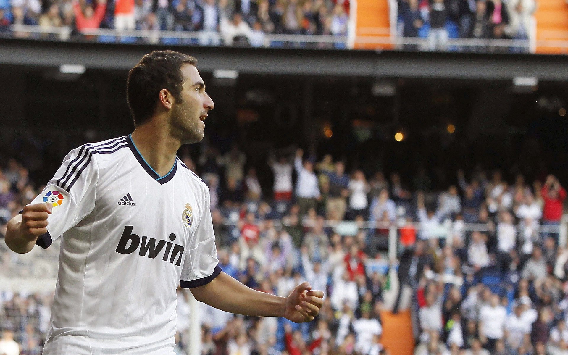 贝恩独木成林,掘金轻取独行侠背后的关键先生