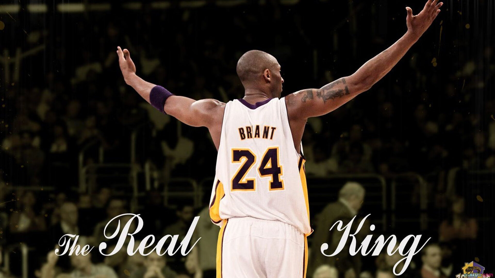 火箭淘汰热火,武切维奇关键时刻站出来